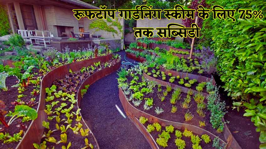 बिहार सरकार का तोहफा: अपनी छत को बनाएं 'मिनी खेत', मिलेगी 75% सब्सिडी ,ऐसे करें फटाफट आवेदन