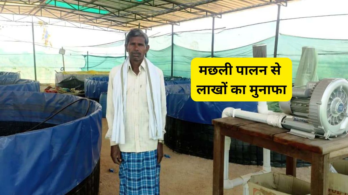 बिना तालाब मछली पालन तकनीक ने बदली किसान की किस्मत, कमाया ₹3.5 लाख से ज्यादा का मुनाफा