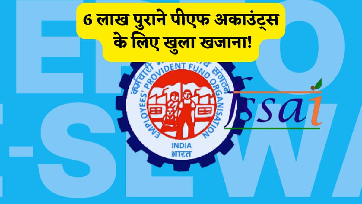 EPFO: ₹1,000 से कम बैलेंस वाले 6 लाख PF खातों की 'चांदी'! अटका हुआ पैसा सीधे बैंक में भेजने की तैयारी, जानें सरकार का प्लान