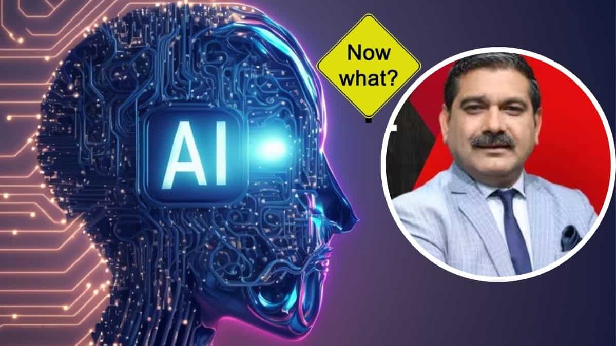 क्या आईटी सेक्टर बॉटम के करीब? मार्केट गुरु अनिल सिंघवी से समझिए IT Stocks में निवेश का बेस्ट तरीका