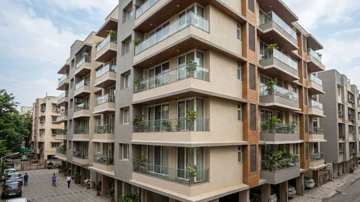 औसत साइज में 12% का उछाल