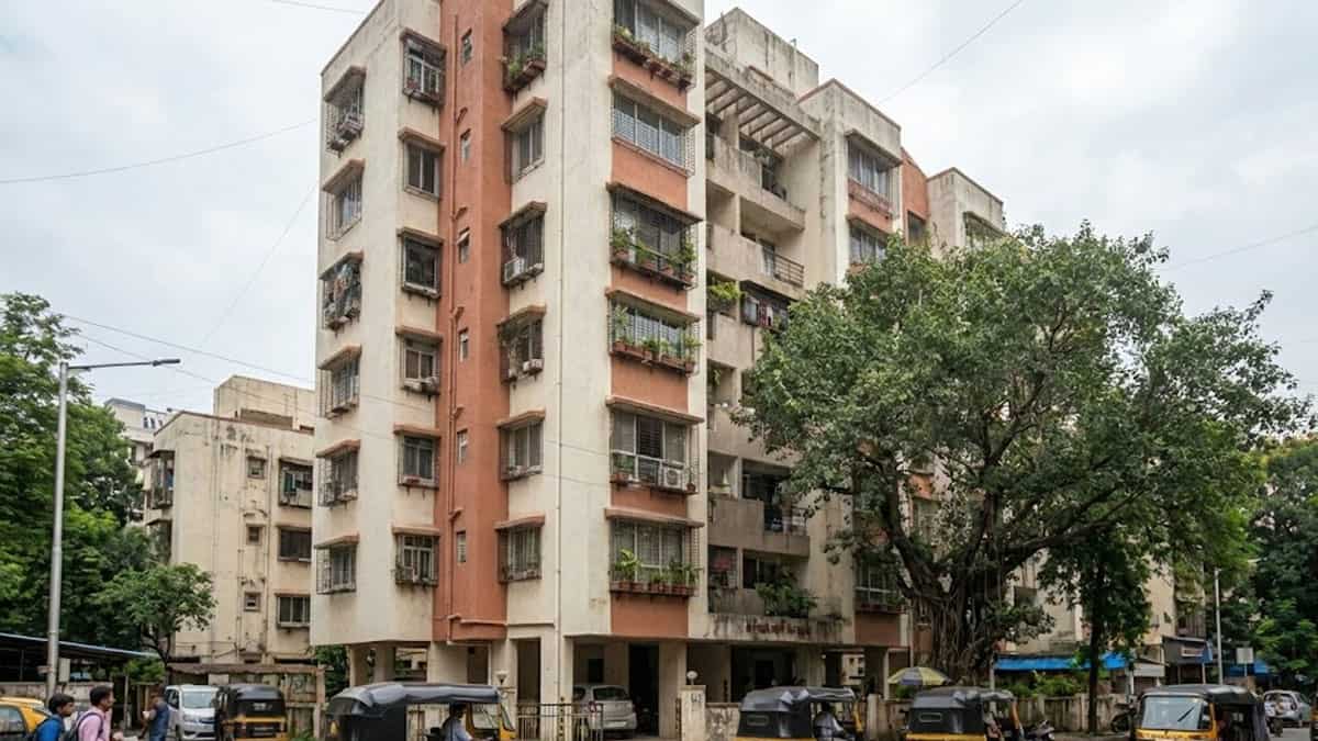904 sqft फ्लैट्स का साइज