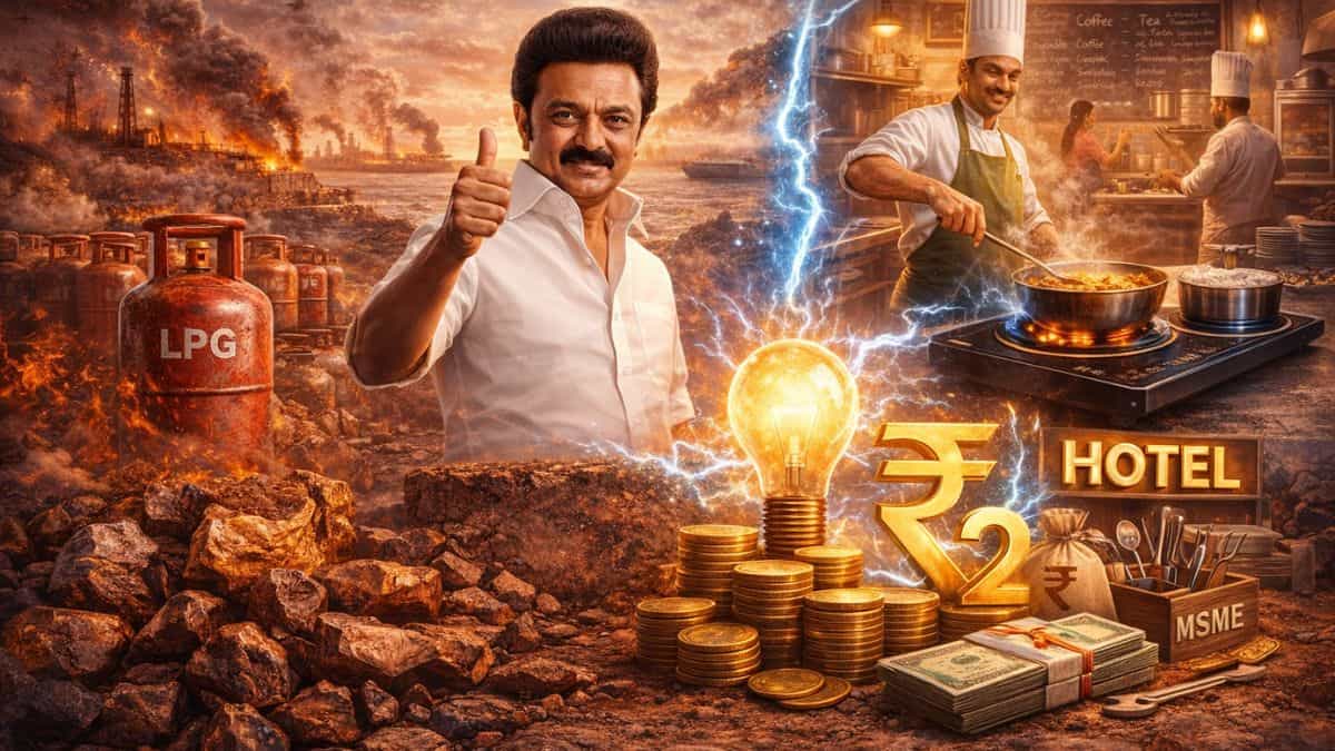 LPG संकट पर सरकार का मास्टरस्ट्रोक! इलेक्ट्रिक स्टोव के इस्तेमाल पर ₹2/यूनिट की छूट, MSMEs को करोड़ों की सब्सिडी
