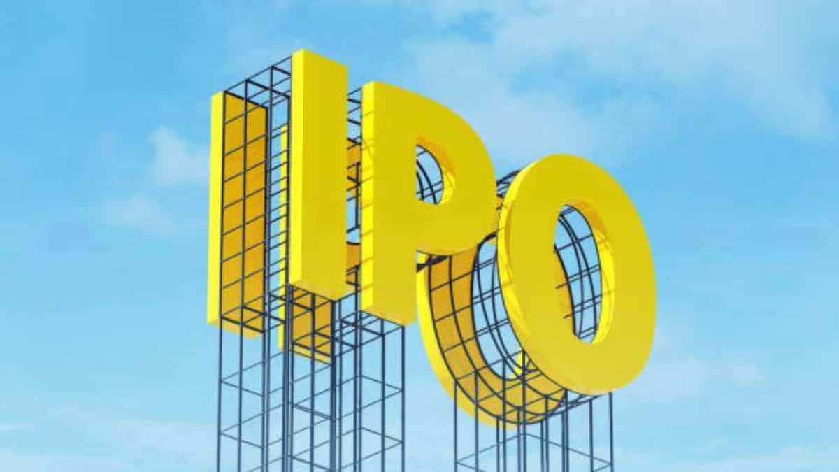 GSP Crop Science IPO: अप्लाई करें या छोड़ दें? अनिल सिंघवी ने बताया क्या करें निवेशक, जानें पॉजिटिव और निगेटिव फैक्टर