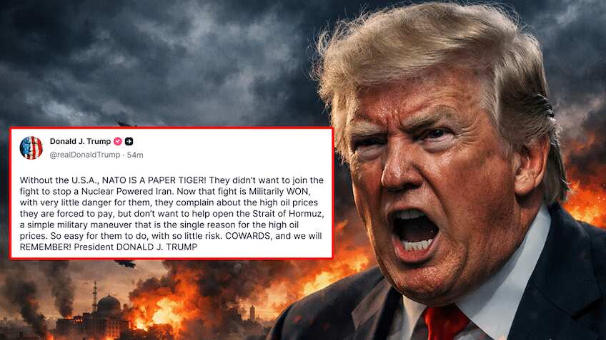 Donald Trump ने NATO को कहा 'डरपोक', बोले- अमेरिका के बिना वो 'कागजी शेर', बड़े अक्षरों में लिखा- 'हम याद रखेंगे'