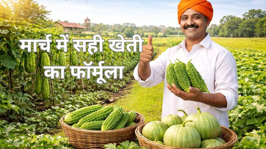 3-4 महीने में लखपति बना देंगी ये 'जायद' फसलें! कृषि विभाग ने बताया गर्मी में बंपर कमाई का सीक्रेट फॉर्मूला