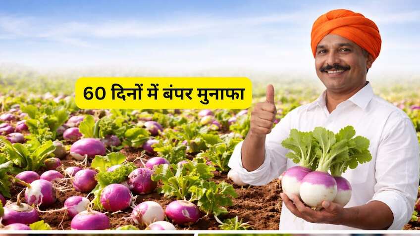सिर्फ 60 दिनों में 'नोट छापने' वाली खेती! मार्च में लगाएं यह फसल और 2 महीने में पाएं बंपर मुनाफा