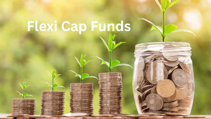 क्यों Flexi Cap Funds को लेकर निवेशकों का जोश हाई? ब्रोकरेज ने आपके लिए चुने टॉप-7 फंड्स