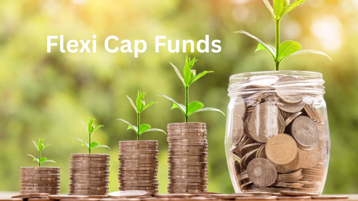 क्यों Flexi Cap Funds को लेकर निवेशकों का जोश हाई? ब्रोकरेज ने आपके लिए चुने टॉप-7 फंड्स