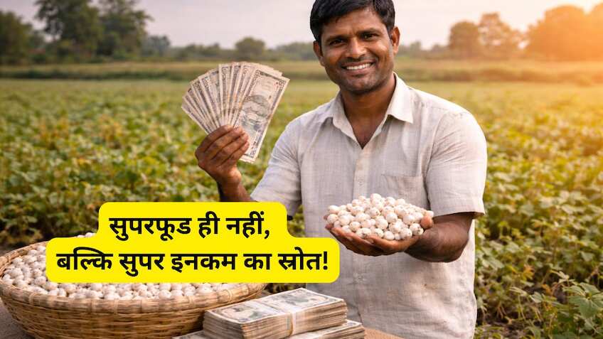 'सफेद सोने' की खेती से किसान बनेंगे मालामाल! सरकार दे रही है ₹3.5 करोड़ तक की मदद, जानें आवेदन का प्रोसेस