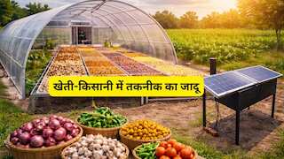 अब नहीं सड़ेंगे प्याज-टमाटर! सोलर ड्रायर पर सरकार दे रही ₹1.40 लाख का अनुदान, जानें कैसे उठाएं फायदा