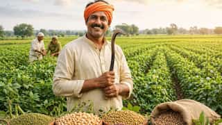 कम लागत में ज्यादा कमाई का फॉर्मूला! दलहन की स्मार्ट खेती क्यों बन रही है किसानों की पहली पसंद