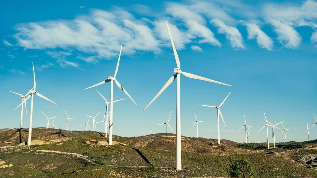 Q4 रिजल्ट से पहले खरीदें ये 2 Wind Energy Stocks, ब्रोकरेज ने कहा- 65% तक मिल सकता है रिटर्न
