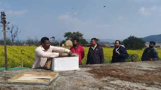 गांव में शुरू करें मीठा बिजनेस! सरकार भी दे रही साथ, किसानों के लिए आसान और फायदेमंद विकल्प