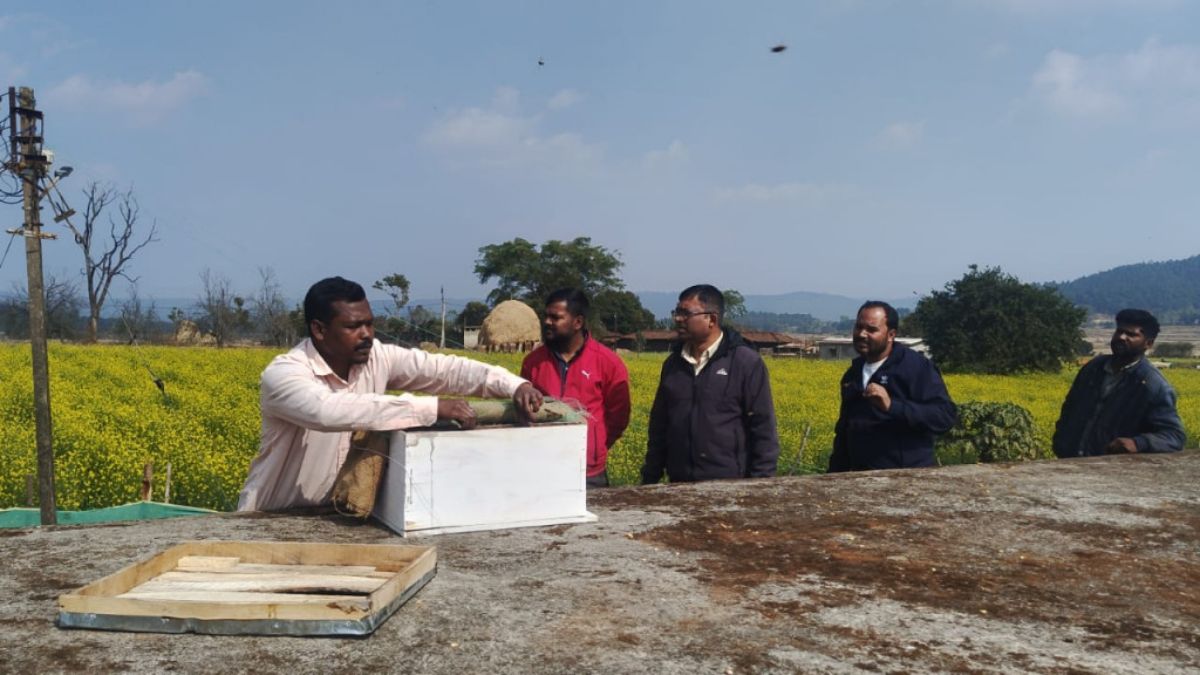 गांव में शुरू करें मीठा बिजनेस! सरकार भी दे रही साथ, किसानों के लिए आसान और फायदेमंद विकल्प