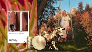 ऐसी तेजी कभी देखी है क्या! जूते बनाने वाली इस कंपनी ने मारी AI में एंट्री तो 1 दिन में 876% उछल गया शेयर