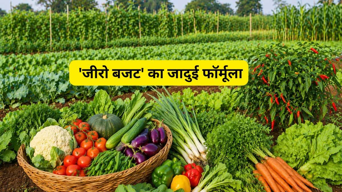 खेती या नोट छापने की मशीन? मात्र 1 एकड़ में उगाईं 22 फसलें, एक हफ्ते में प्याज बेचकर कमाए ₹50,000