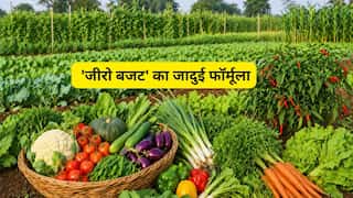 खेती या नोट छापने की मशीन? मात्र 1 एकड़ में उगाईं 22 फसलें, एक हफ्ते में प्याज बेचकर कमाए ₹50,000