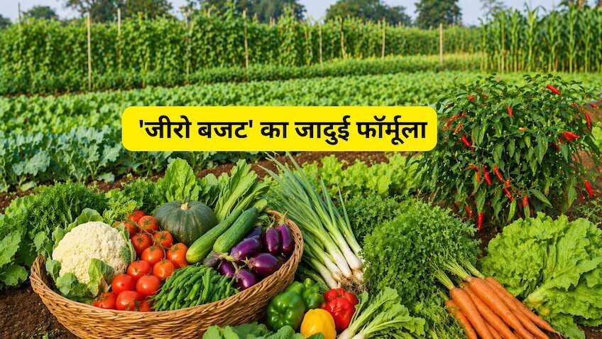खेती या नोट छापने की मशीन? मात्र 1 एकड़ में उगाईं 22 फसलें, एक हफ्ते में प्याज बेचकर कमाए ₹50,000