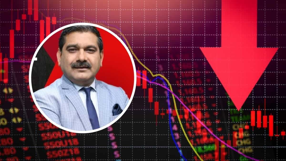 बाजार की सुस्ती में भी हो सकती है कमाई, अनिल सिंघवी के 4 शानदार पिक; रखें नजर और नोट करें डीटेल