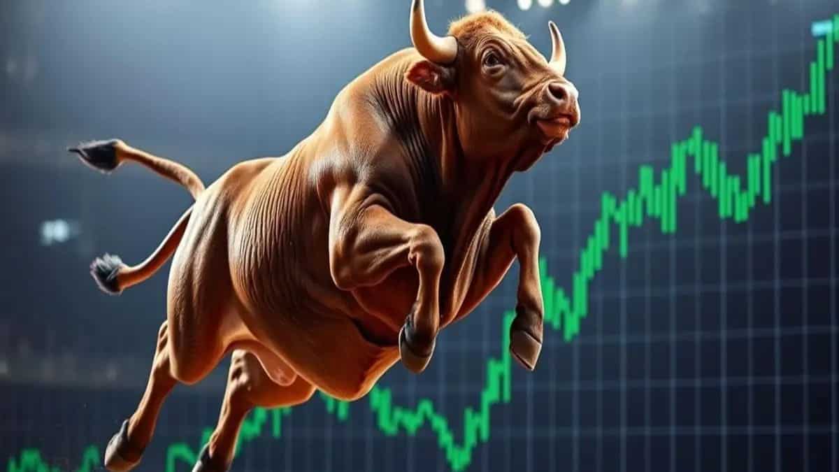Why brokerage bullish on Vidya Wires