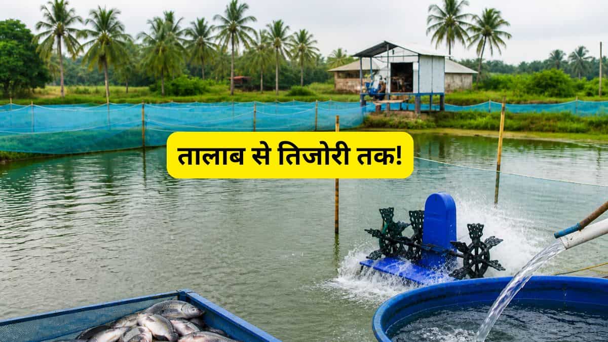 Success Story: 12वीं के बाद गांव में शुरू किया ये बिजनेस, अब सालाना 15 से 20 लाख रुपये की कमाई