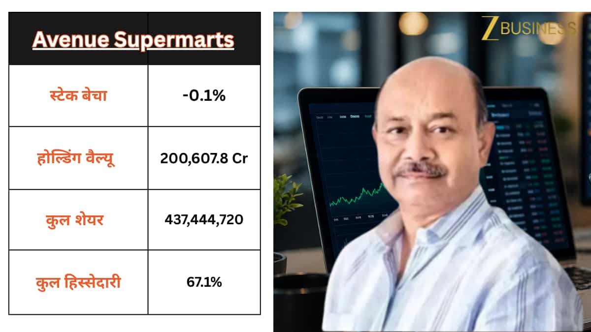 सबसे बड़ी होल्डिंग अब भी Avenue Supermarts