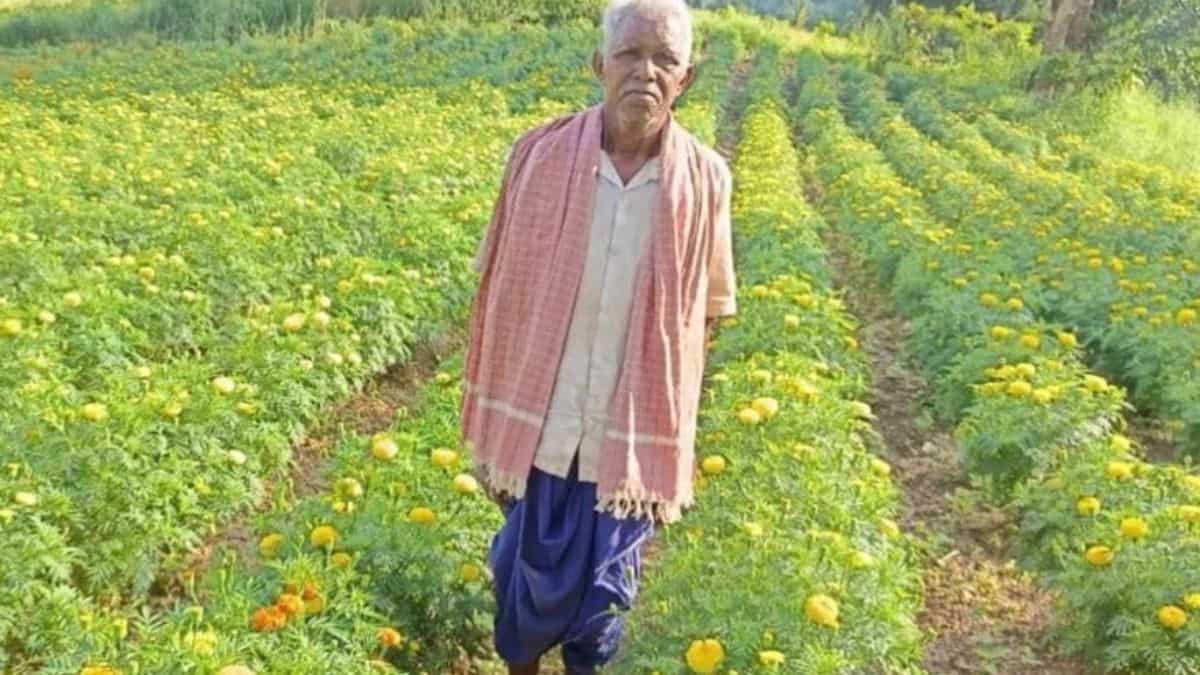 धान से दूरी, फूलों से दोस्ती! छोटे खेत से लाखों की कमाई का नया फॉर्मूला