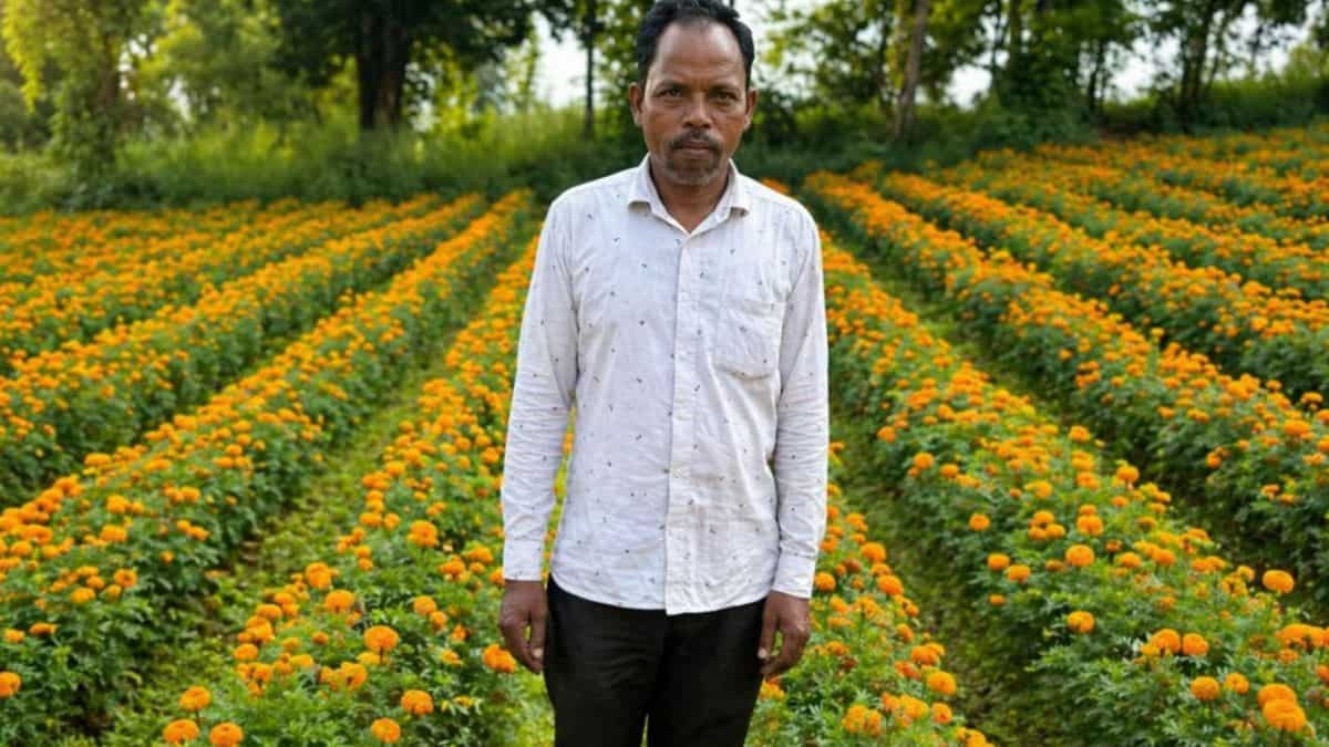 फूलों की खुशबू से महकी किस्मत! धान छोड़ गेंदा उगाया, किसान ने कमाया ₹2.59 लाख का नेट मुनाफा