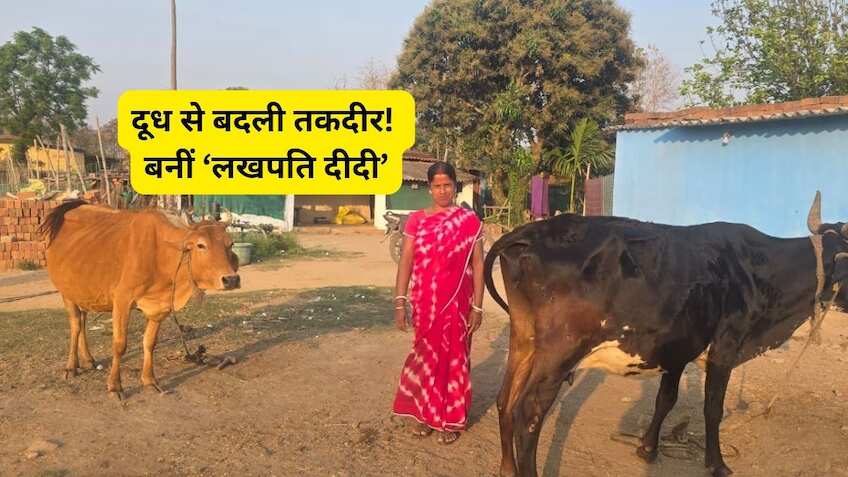 सिर्फ ₹60 हजार के लोन से शुरू किया सफर! आज सालाना ₹3.5 लाख का टर्नओवर; जानिए ‘लखपति दीदी' की कामयाबी का मंत्र