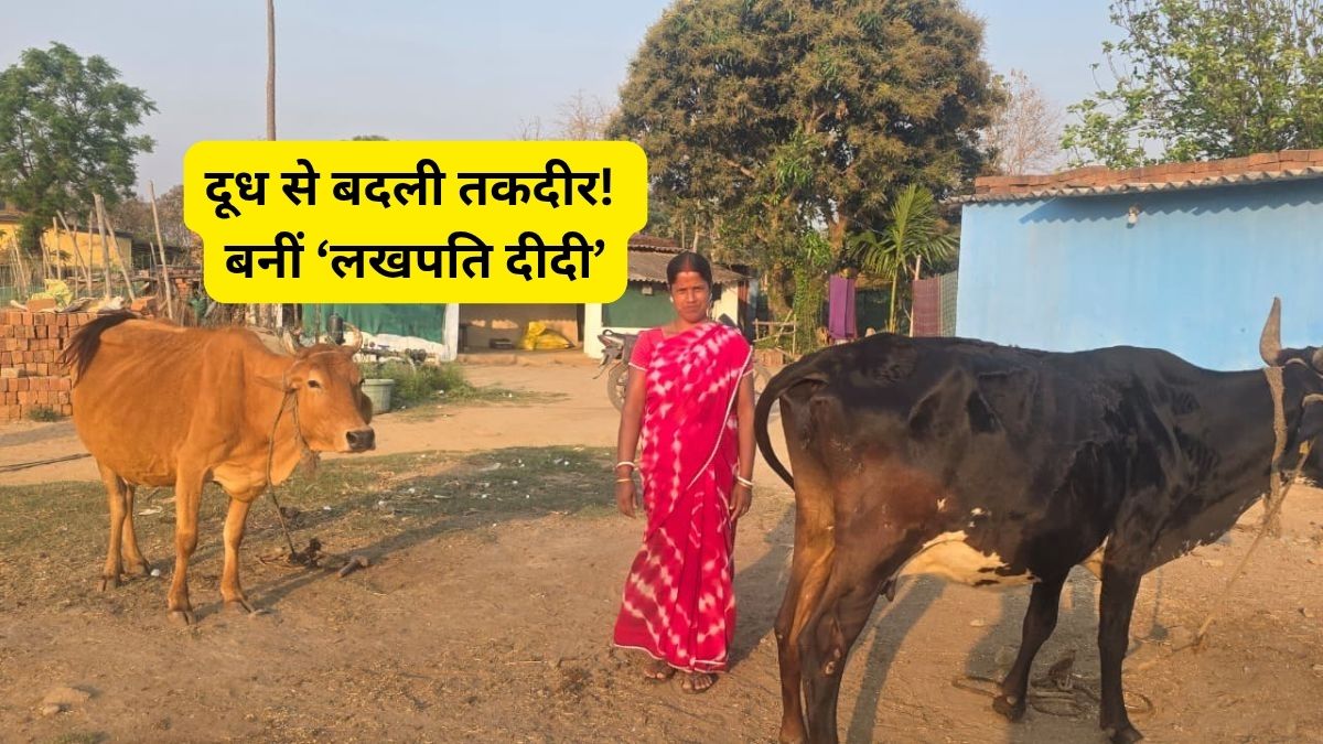 सिर्फ ₹60 हजार के लोन से शुरू किया सफर! आज सालाना ₹3.5 लाख का टर्नओवर; जानिए ‘लखपति दीदी' की कामयाबी का मंत्र