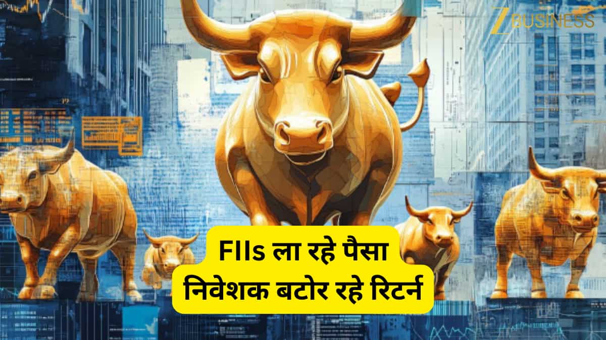 FIIs ने जिसे छुआ, चमक गए वो शेयर, इन 9 Stocks में 9 महीनों से पैसा लगा रहे विदेशी निवेशक; 1 साल में मिला 353% तक रिटर्न