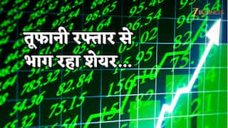 शेयर लगातार तोड़ रहा अपना हाई...60% है MF और FII की होल्डिंग, अब Q4 Result में किया कमाल, नोट करें नाम