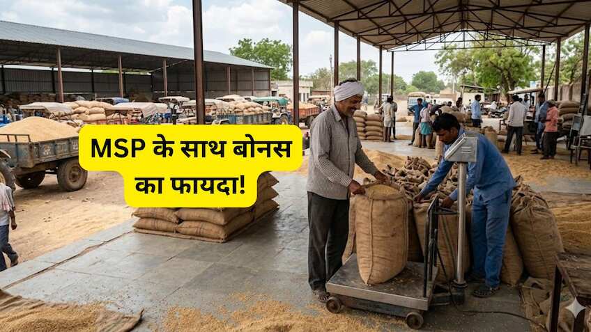 अपनी उपज पर कमाएं ज्यादा! ₹40 के बोनस के साथ 23 मई तक बेचें गेहूं, सीधे खाते में आएगा पैसा