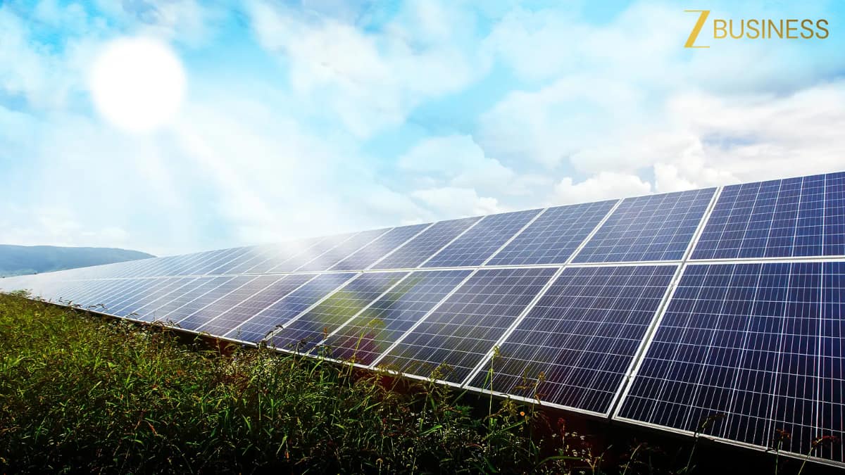ACME Solar Holdings Share Price
