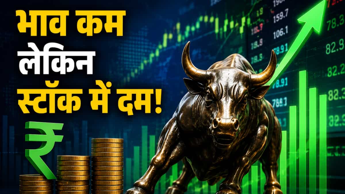 ₹500 से भी कम कीमत वाले 4 शेयर, नतीजों के बाद ब्रोकरेज कंपनी PL Capital बुलिश, लॉन्ग टर्म निवेशक जान लें टारगेट