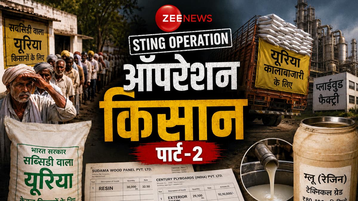 ऑपरेशन किसान पार्ट-2: प्लाईवुड कंपनियों और भ्रष्ट अफसरों की सांठगांठ का पर्दाफाश, खुफिया कैमरे में सब हुआ रिकॉर्ड