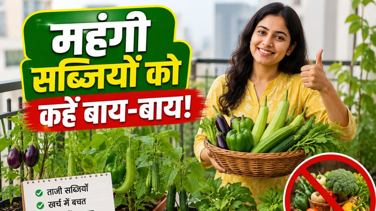 सब्जियों की महंगाई से हैं परेशान? घर की छत या बालकनी में उगाएं ये 5 चीजें, हर महीने करें हजारों की बचत