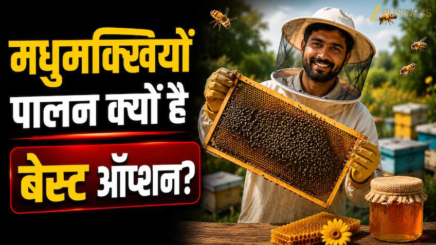 World Bee Day:  क्या मधुमक्खी कराएंगी मोटी कमाई! सरकार देती है 80% तक की सब्सिडी, जानें पालन का पूरा प्रोसेस और बेनेफिट्स