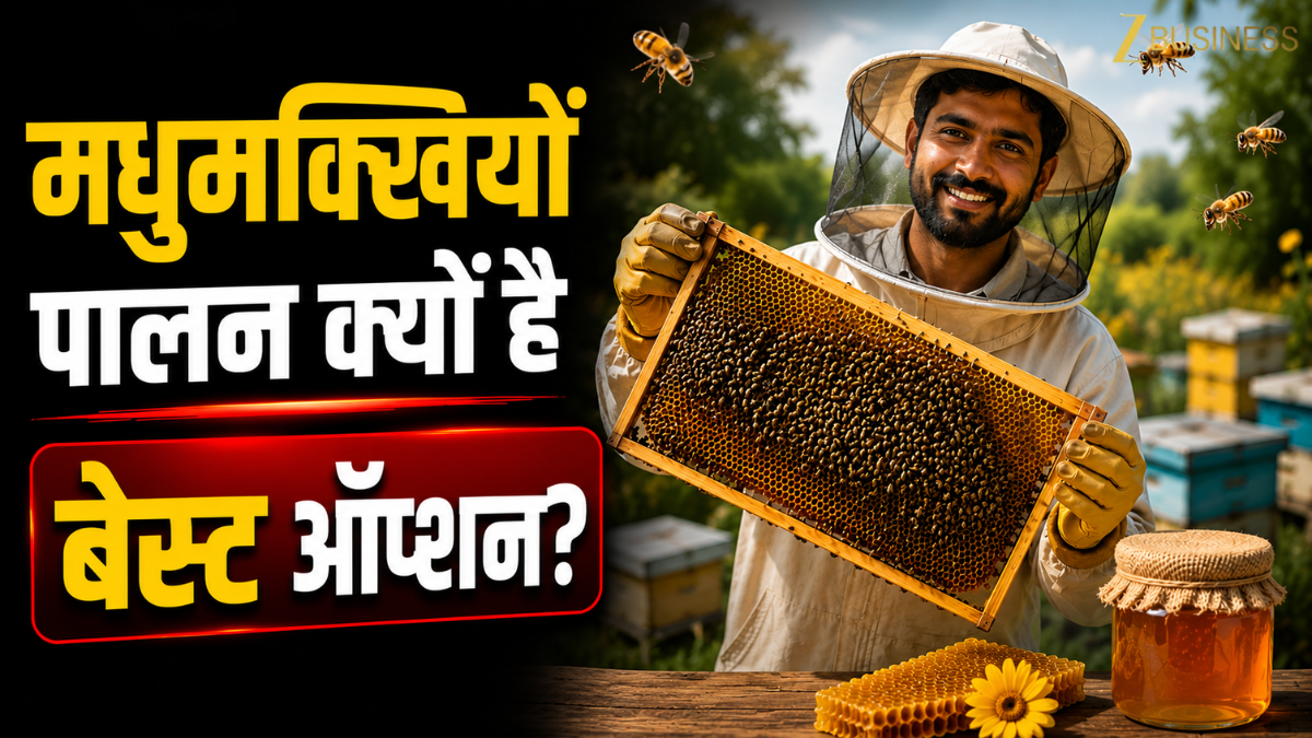 World Bee Day: क्या मधुमक्खी कराएंगी मोटी कमाई! सरकार देती है 80% तक की सब्सिडी, जानें पालन का पूरा प्रोसेस और बेनेफिट्स