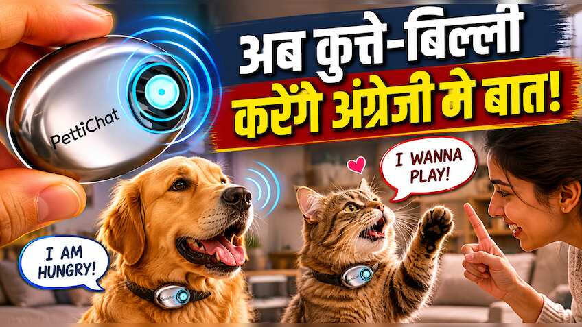 बिल्ली बोलेगी- 'मुझे खेलना है', कुत्ता कहेगा-'भूख लगी है', चीनी स्टार्टअप के AI कॉलर से सीधे बात करेंगे पेट्स!