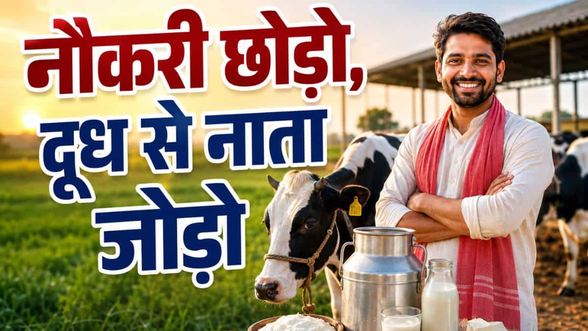 नौकरी छोड़ो, दूध का बिजनेस शुरू करो! ये 4 योजनाएं आएंगी काम, सरकार देगी ₹31.25 लाख तक का अनुदान