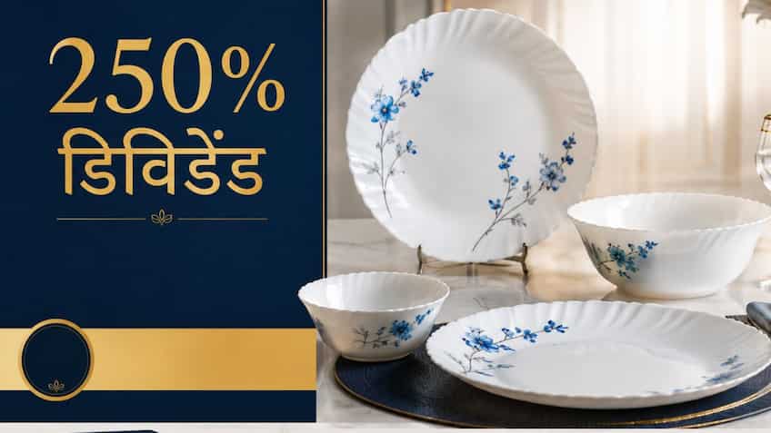 40 देशों में ओपल ग्लास प्लेट बेचने वाली कंपनी ने किया 250% डिविडेंड का ऐलान, Q4 में मुनाफा घटा
