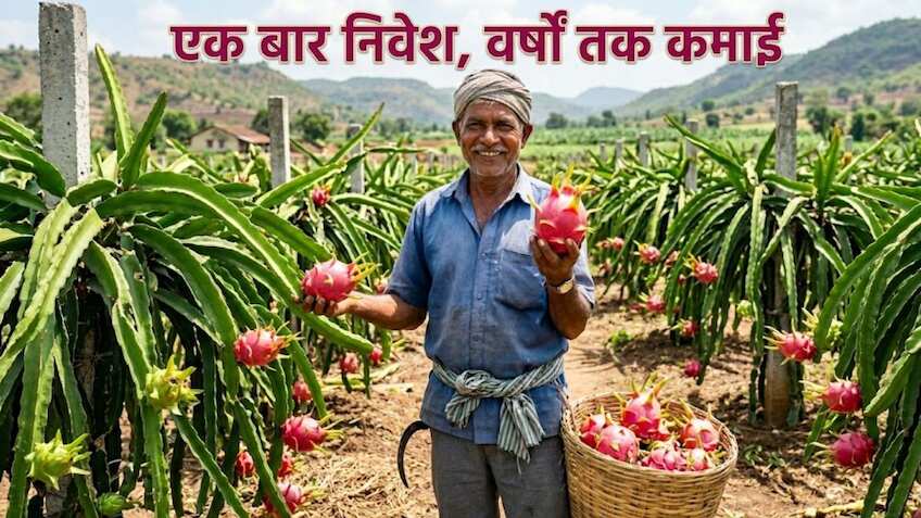 धान-गेहूं से आगे बढ़िए, ड्रैगन फ्रूट उगाइए! सरकार देगी ₹2.70 लाख की मदद, कमाई भी होगी दमदार