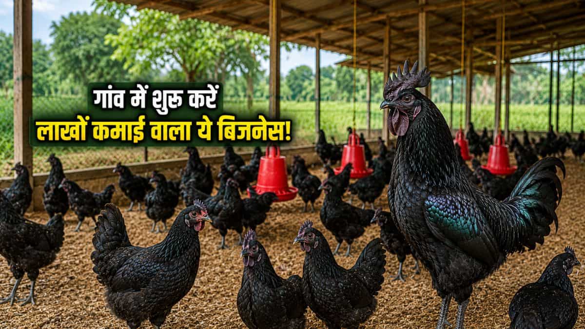 शहर की नौकरी छोड़ गांव में शुरू करें यह बिजनेस, हर साल कमाएं लाखों; इस शख्स की सफलता से लें सीख