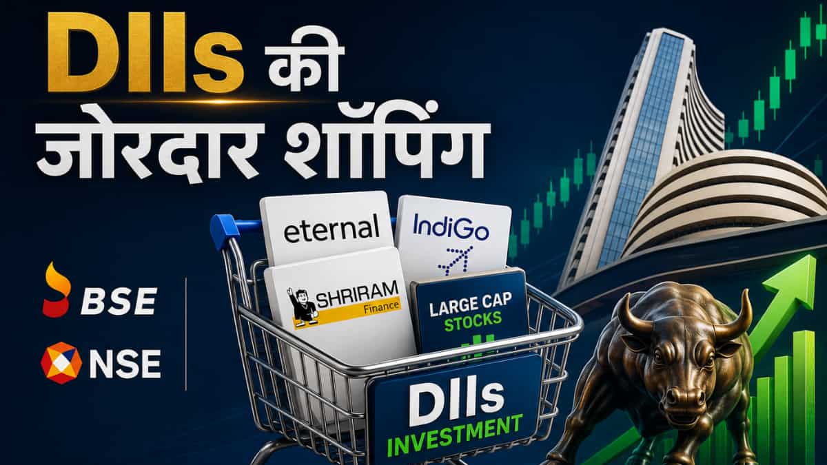 FIIs की महा-बिकवाली भी बेअसर! DIIs ने बाजार में डाले ₹4,13,000 करोड़; इन हैवीवेट शेयरों में बढ़ा दी हिस्सेदारी