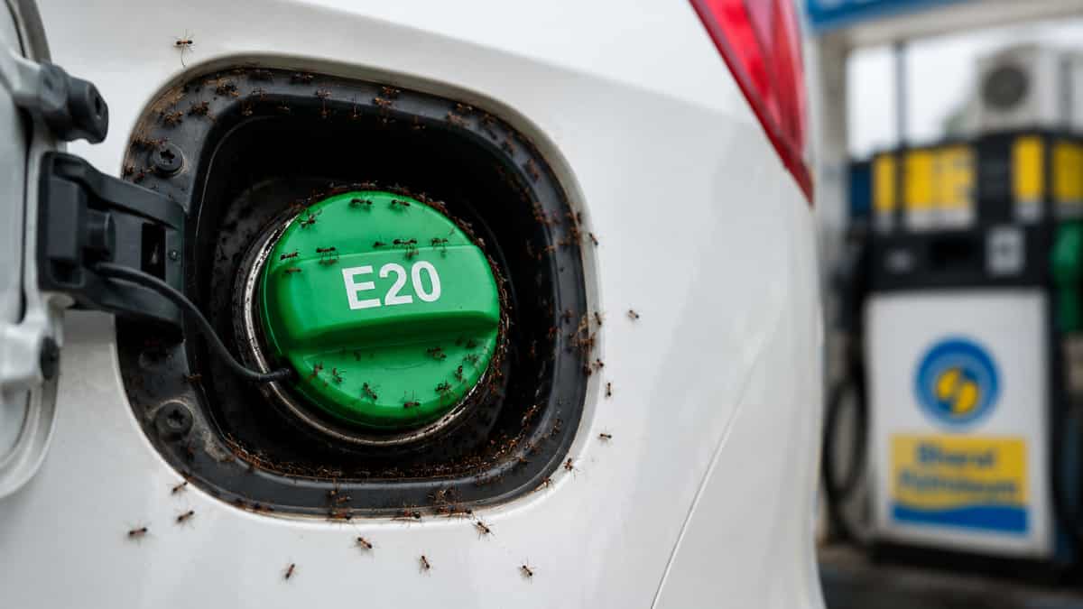 E20 फ्यूल फिलर कैप के आसपास इकट्ठा हो रही चीटियां, इस दावे पर BPCL ने जारी किया स्पष्टीकरण, जानें सच