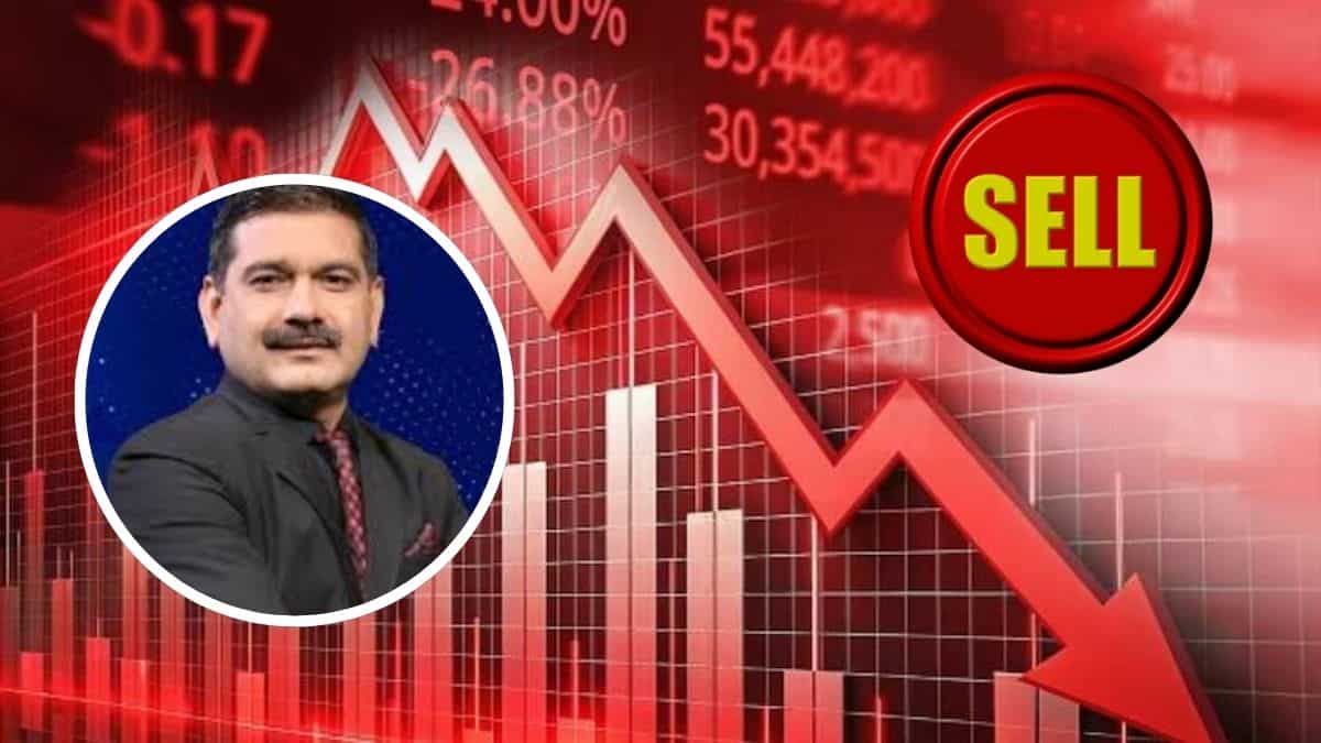 मेटल्स में आ सकती है बड़ी गिरावट, अनिल सिंघवी ने इन 5 स्टॉक्स में दी SELL की राय