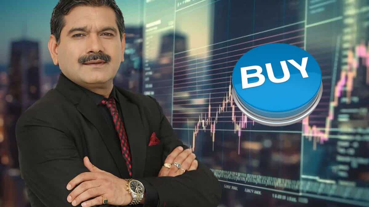 ऑटो और कैपिटल गुड्स में दमदार तेजी, अनिल सिंघवी को पसंद आए ये 4 स्टॉक्स, BUY की सलाह