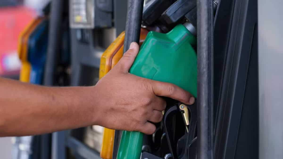 ये फ्लेक्स फ्यूल क्या होता है? इथेनॉल E20 पर मचे बवाल के बाद आया सरकार का नया मास्टरप्लान